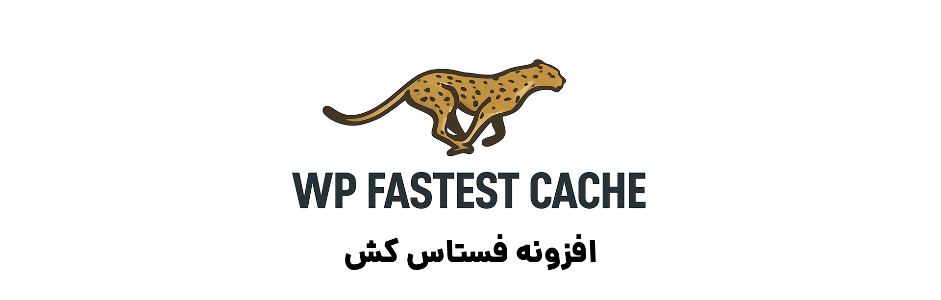 افزونه برتر افزایش سرعت وردپرس