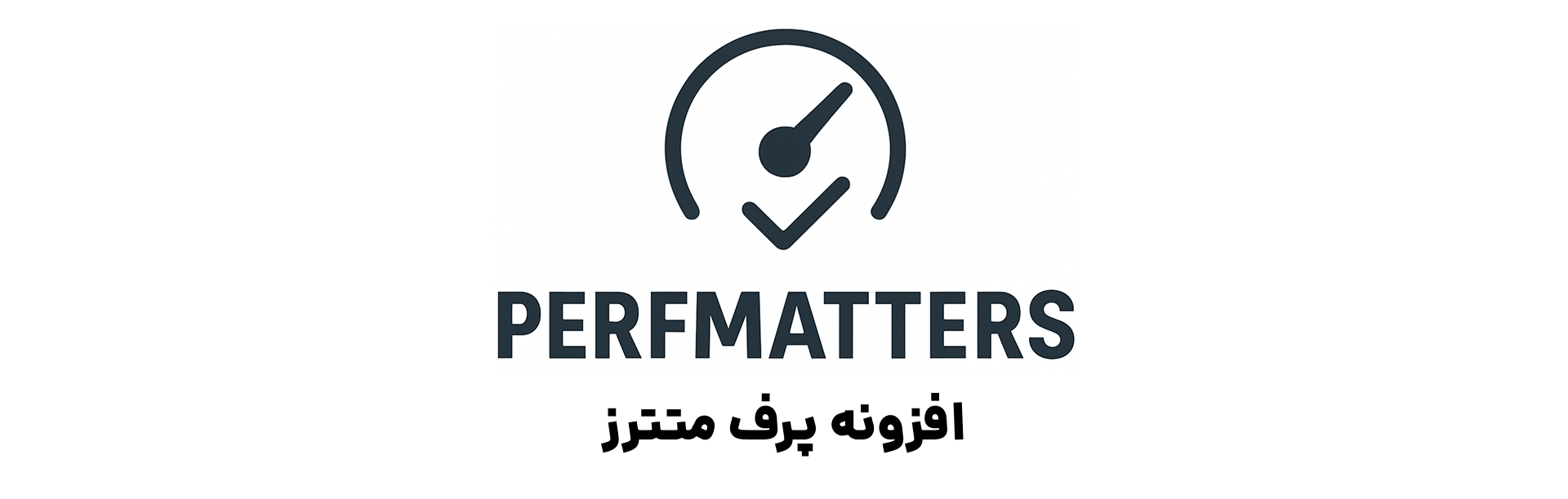 افزونه برتر افزایش سرعت وردپرس 